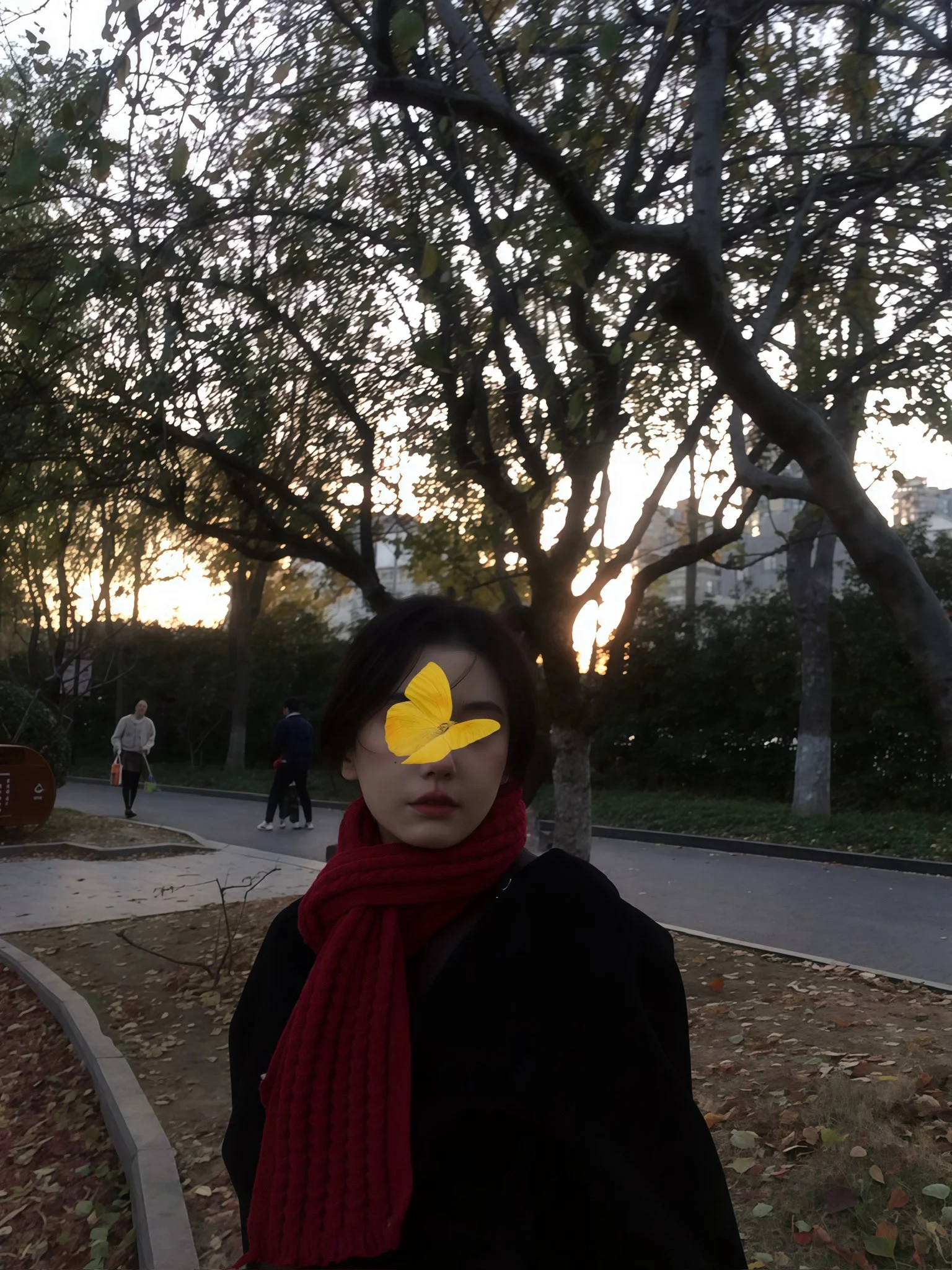 小固EVA写真图片(2)